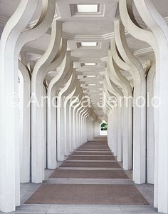 Mosque and Cultural Islamic Center Colonnade | Andrea Jemolo
