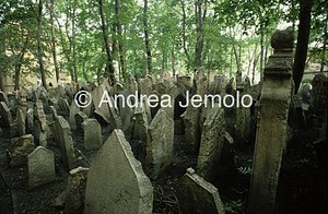 Ebraic cemetery  | Andrea Jemolo