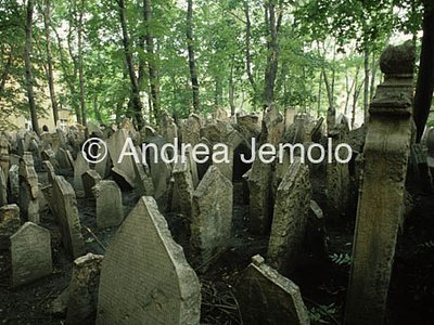 Ebraic cemetery  | Andrea Jemolo