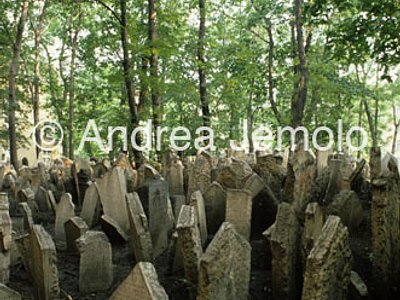 Ebraic cemetery  | Andrea Jemolo