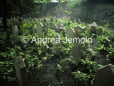 Ebraic cemetery  | Andrea Jemolo