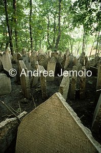 Ebraic cemetery  | Andrea Jemolo