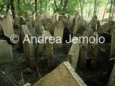 Ebraic cemetery  | Andrea Jemolo