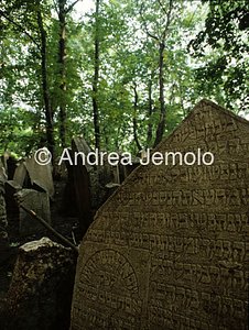 Ebraic cemetery  | Andrea Jemolo