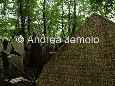 Ebraic cemetery  | Andrea Jemolo