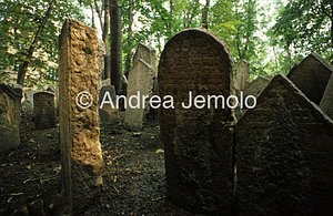 Ebraic cemetery  | Andrea Jemolo