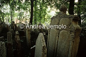 Ebraic cemetery  | Andrea Jemolo