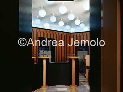 The Parma and Piacenza Savings Bank  | Andrea Jemolo