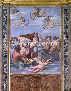 Villa Farnesina Galatea | Andrea Jemolo