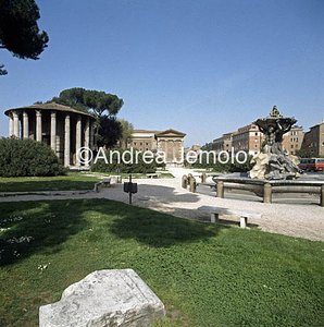 Temple of Vesta or of Hercules  | Andrea Jemolo