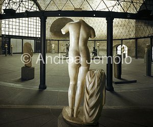 National Roman Museum - Octagonal hall  | Andrea Jemolo