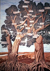 Museum of the Roman civilization Genealogical Tree family Giulio Claudia | Andrea Jemolo