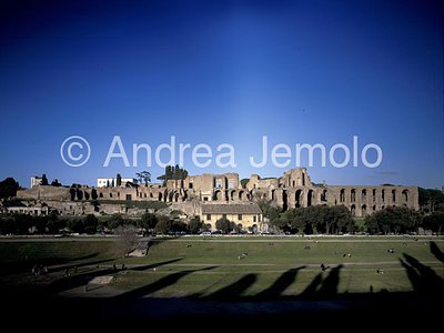 Palatino Visione d'insieme | Andrea Jemolo