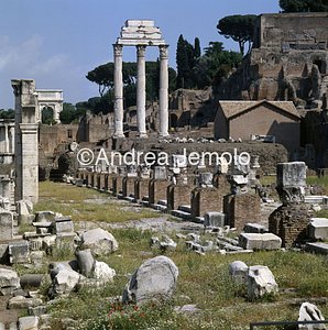 Roman forum Julia basilica | Andrea Jemolo