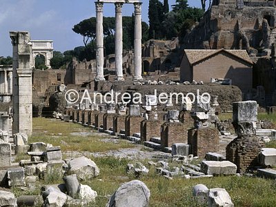 Foro romano Basilica Giulia | Andrea Jemolo