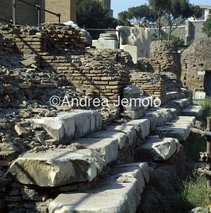 Roman forum Julia basilica - Detail | Andrea Jemolo