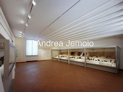 National Roman Museum - Epigraphic Museum Expositive hall at first floor | Andrea Jemolo