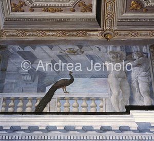 Palazzo Spada Hall of the general assemblies - Detail | Andrea Jemolo