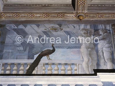 Palazzo Spada Hall of the general assemblies - Detail | Andrea Jemolo