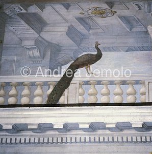 Palazzo Spada Hall of the general assemblies - Detail | Andrea Jemolo