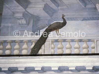 Palazzo Spada Hall of the general assemblies - Detail | Andrea Jemolo