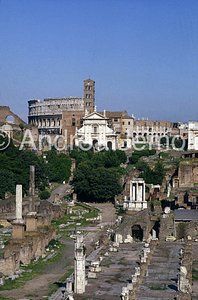 Roman forum General view | Andrea Jemolo