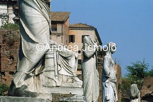 Roman forum House of the Virgins | Andrea Jemolo