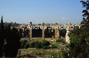 Basilica of Maxentius  | Andrea Jemolo