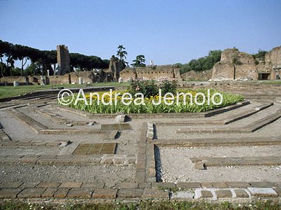 Foro romano Fontana della Domus Flavia | Andrea Jemolo