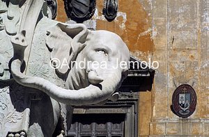 Elephant and obelisk Detail | Andrea Jemolo