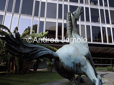 Dying horse  | Andrea Jemolo