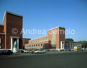 Stadium of the Swimming General view | Andrea Jemolo