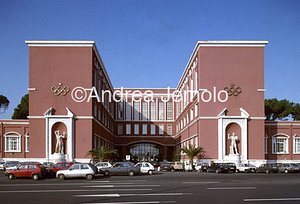 Academy of Physical Education  | Andrea Jemolo