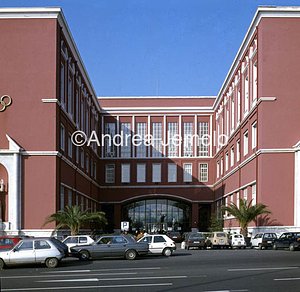 Academy of Physical Education  | Andrea Jemolo
