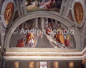 Trinità dei Monti Chapel Della Rovere - lunetta - Presentation in the Temple | Andrea Jemolo