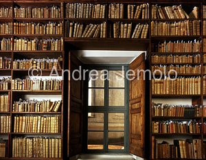 San Carlo alle Quattro Fontane Library - Window toward the drum | Andrea Jemolo