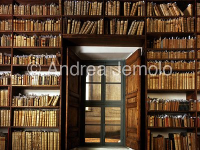 San Carlo alle Quattro Fontane Library - Window toward the drum | Andrea Jemolo