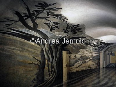 Chiesa della Trinità dei Monti - Convento Anamorfosi - San Francesco di Paola in preghiera | Andrea Jemolo