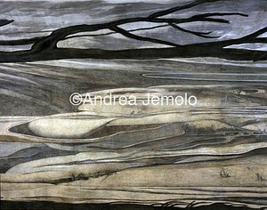 Trinità dei Monti - Monastery Anamorphosis - St. Francis of Paola praying | Andrea Jemolo