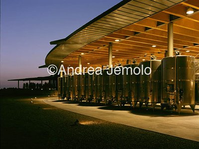Wine cellar L'Ammiraglia firm Frescobaldi  | Andrea Jemolo