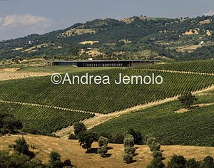 Wine cellar L'Ammiraglia firm Frescobaldi  | Andrea Jemolo