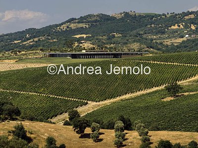 Wine cellar L'Ammiraglia firm Frescobaldi  | Andrea Jemolo