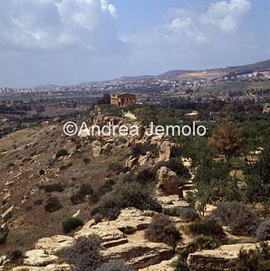 Temple of Concordia Temple in the valley | Andrea Jemolo