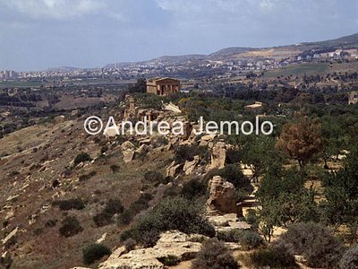 Tempio della Concordia Il Tempio nella valle | Andrea Jemolo