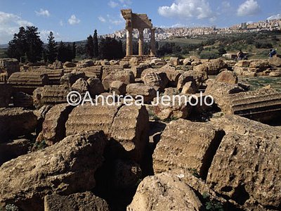 Tempio di Castore e Polluce Colonne del tempio | Andrea Jemolo