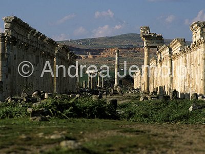 Apamea | Andrea Jemolo