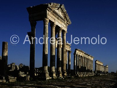 Cardo General view | Andrea Jemolo