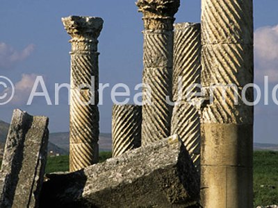 Cardo Columns with shelves | Andrea Jemolo