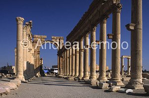 Avenue with columns e arco monumental arch General view | Andrea Jemolo