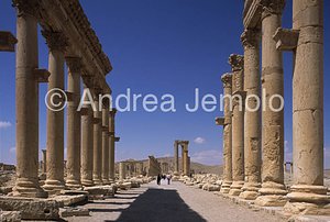 Avenue with columns General view | Andrea Jemolo